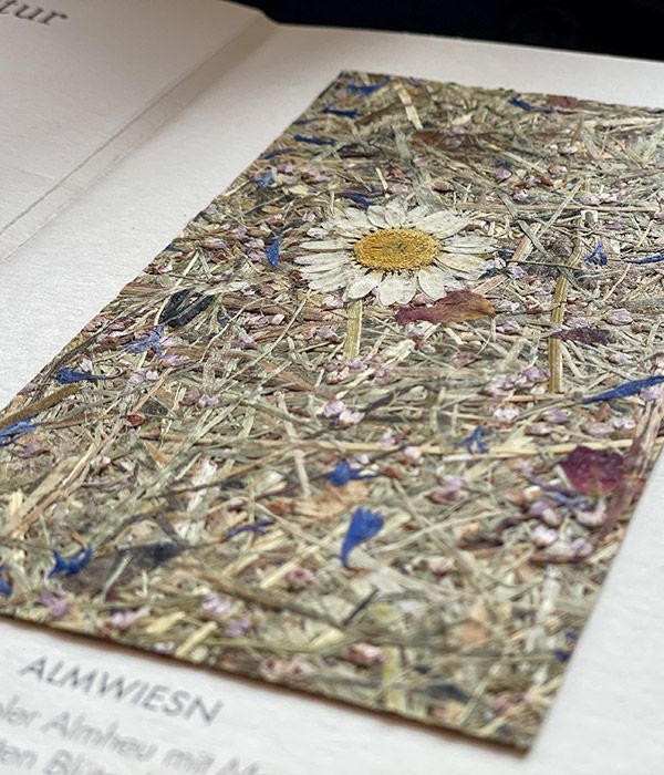 Natürliche Wandfolien mit lebendig wirkender Oberflächenstruktur aus Heu und typischen Blumen einer Almwiese von Maler Monti am Tegernsee